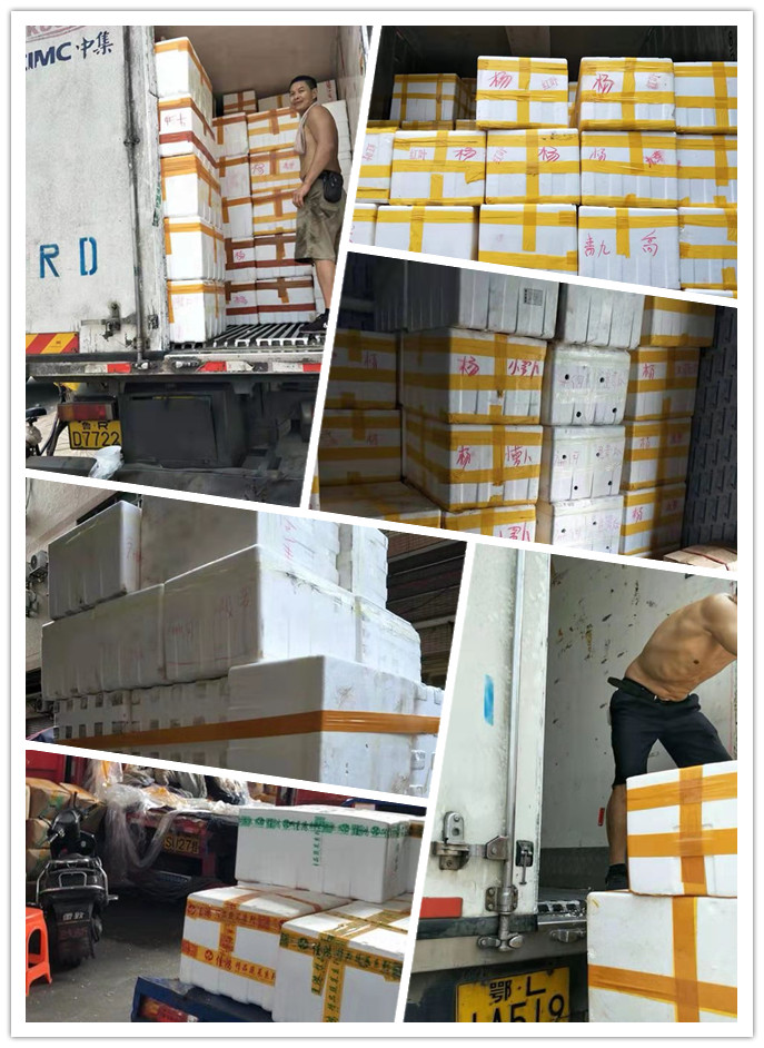 必发7790(中国区)电子集团-线上平台登录入口