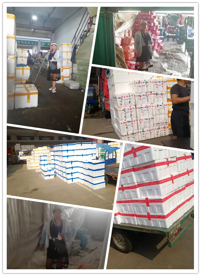 必发7790(中国区)电子集团-线上平台登录入口