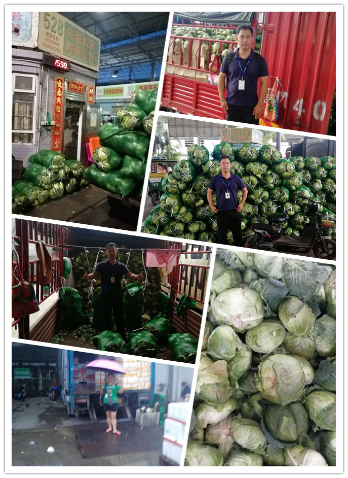 必发7790(中国区)电子集团-线上平台登录入口