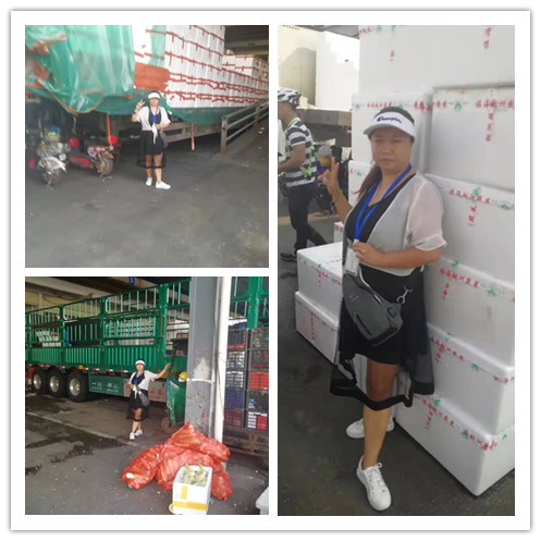 必发7790(中国区)电子集团-线上平台登录入口