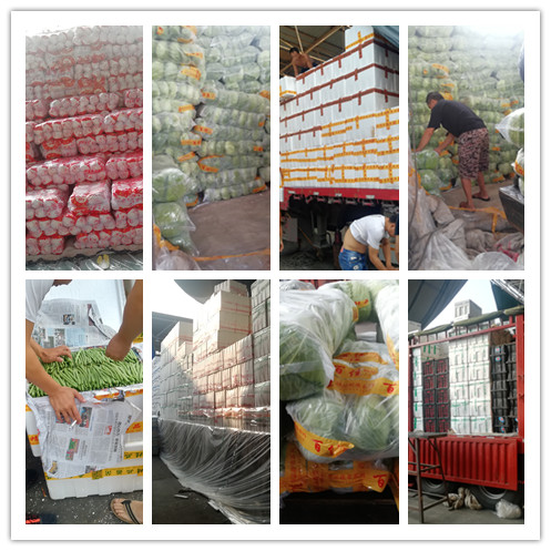 必发7790(中国区)电子集团-线上平台登录入口