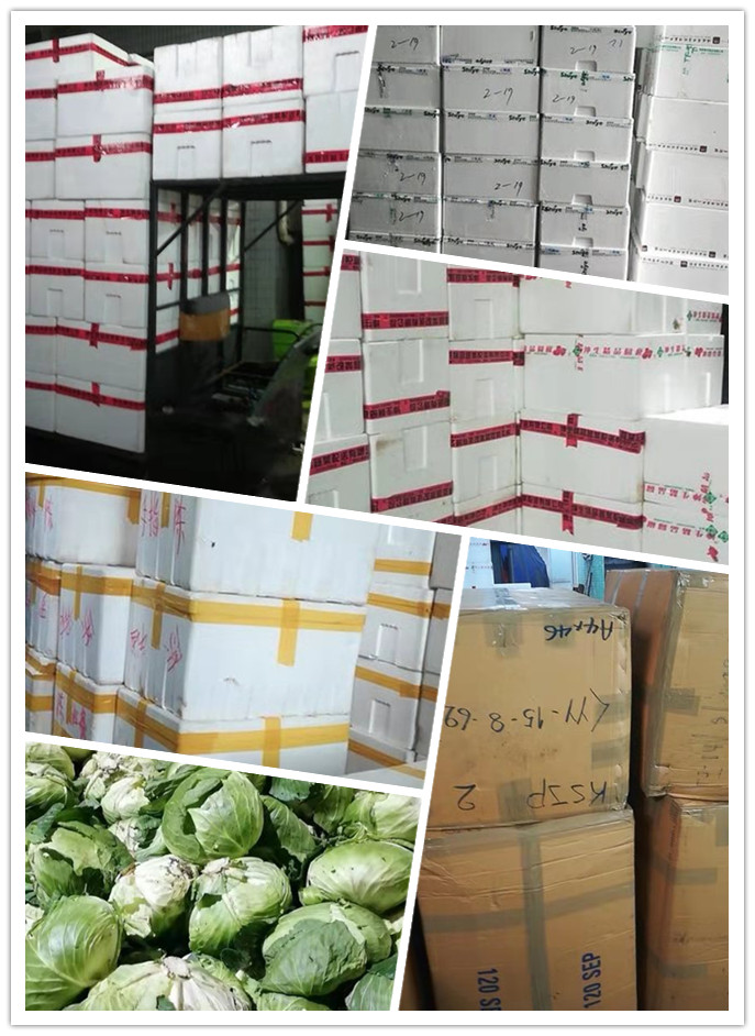 必发7790(中国区)电子集团-线上平台登录入口