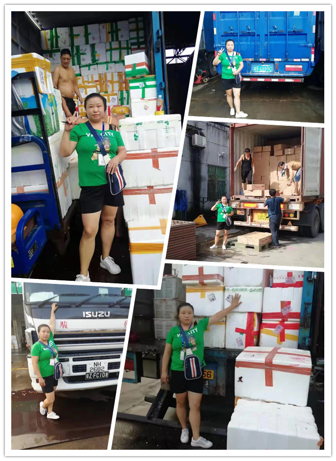 必发7790(中国区)电子集团-线上平台登录入口