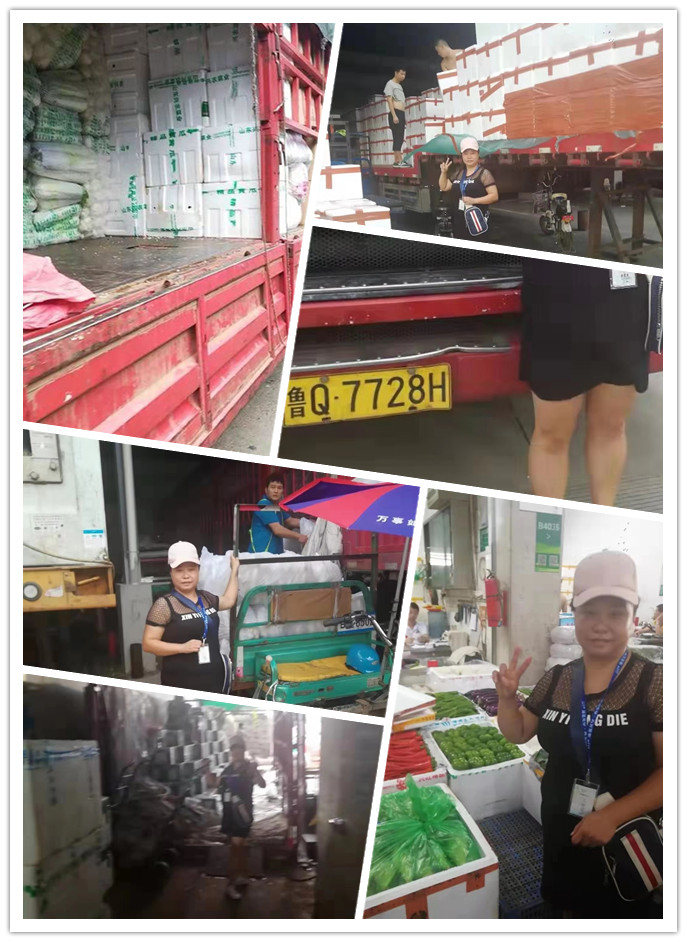 必发7790(中国区)电子集团-线上平台登录入口