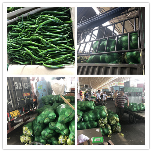 必发7790(中国区)电子集团-线上平台登录入口