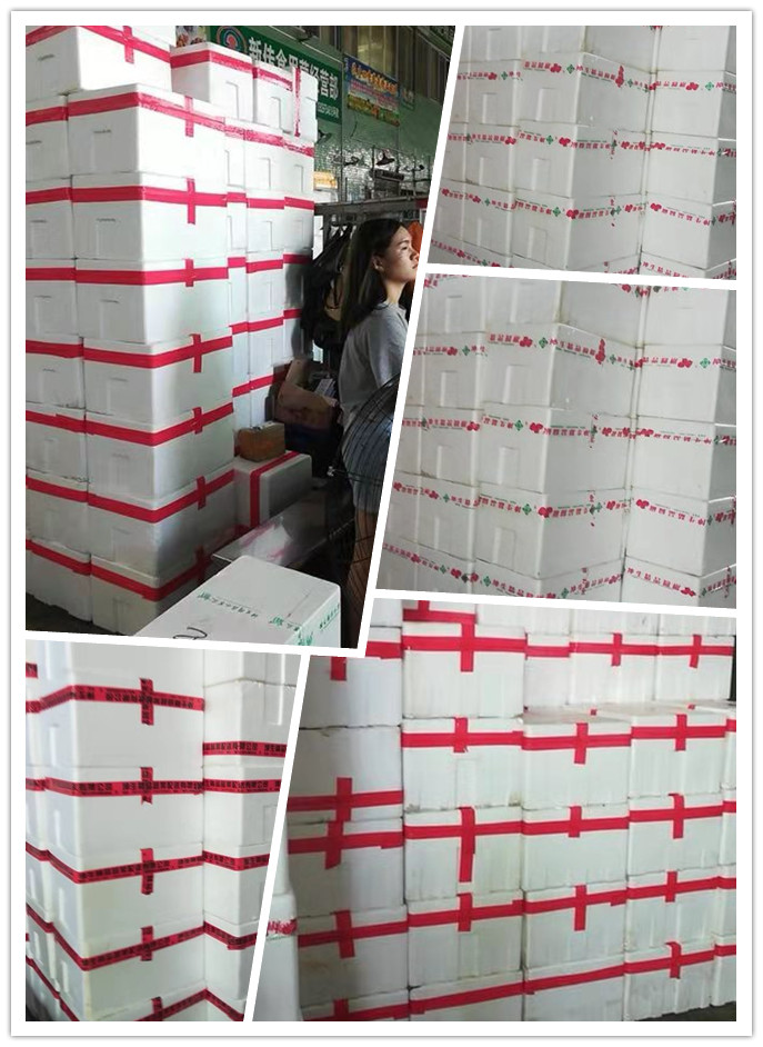 必发7790(中国区)电子集团-线上平台登录入口