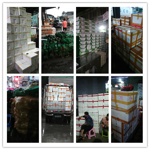 必发7790(中国区)电子集团-线上平台登录入口