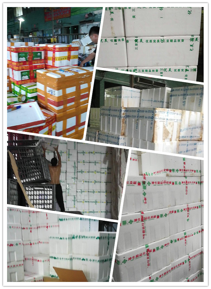 必发7790(中国区)电子集团-线上平台登录入口