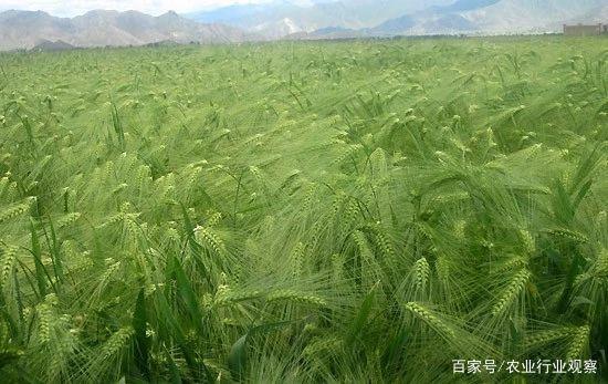 必发7790(中国区)电子集团-线上平台登录入口