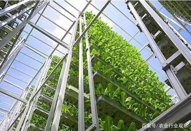 必发7790(中国区)电子集团-线上平台登录入口