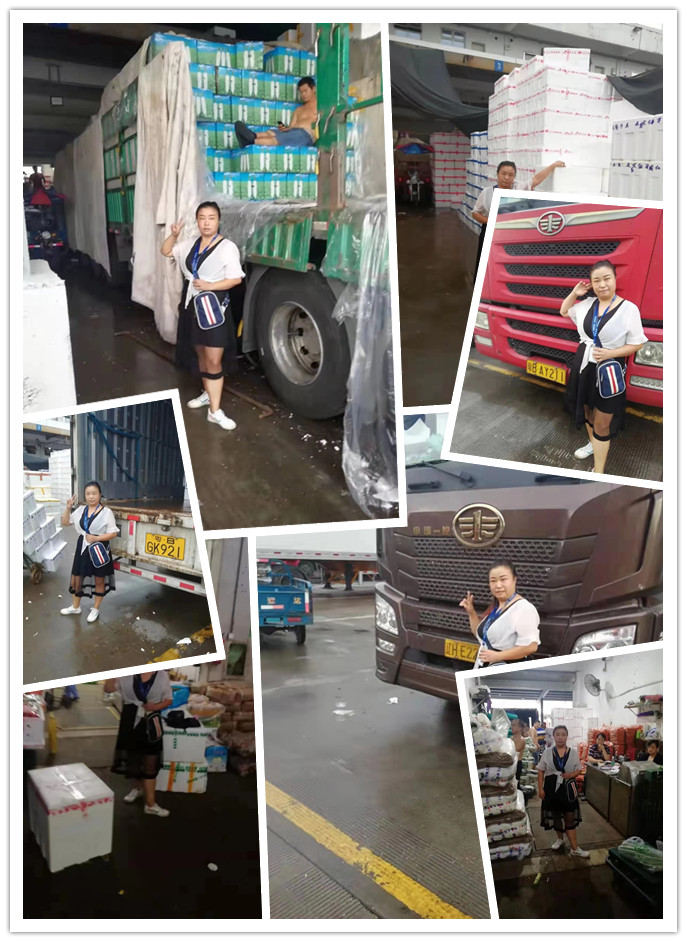 必发7790(中国区)电子集团-线上平台登录入口