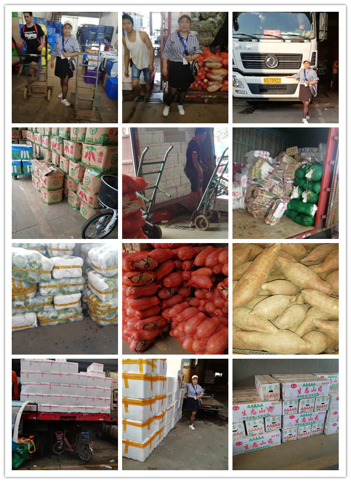 必发7790(中国区)电子集团-线上平台登录入口