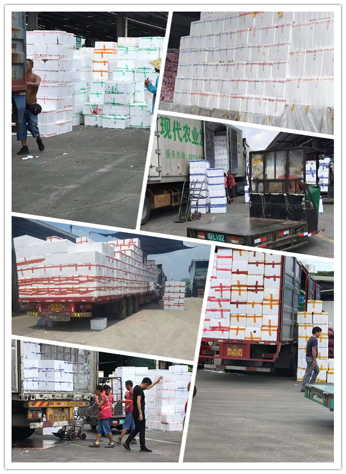 必发7790(中国区)电子集团-线上平台登录入口