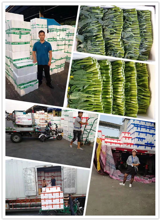 必发7790(中国区)电子集团-线上平台登录入口