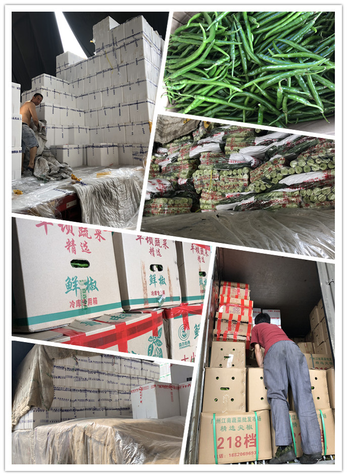 必发7790(中国区)电子集团-线上平台登录入口