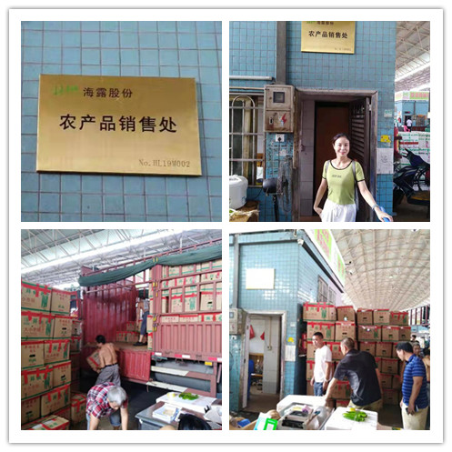 必发7790(中国区)电子集团-线上平台登录入口