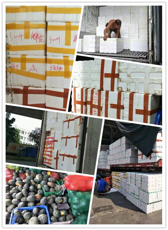 必发7790(中国区)电子集团-线上平台登录入口