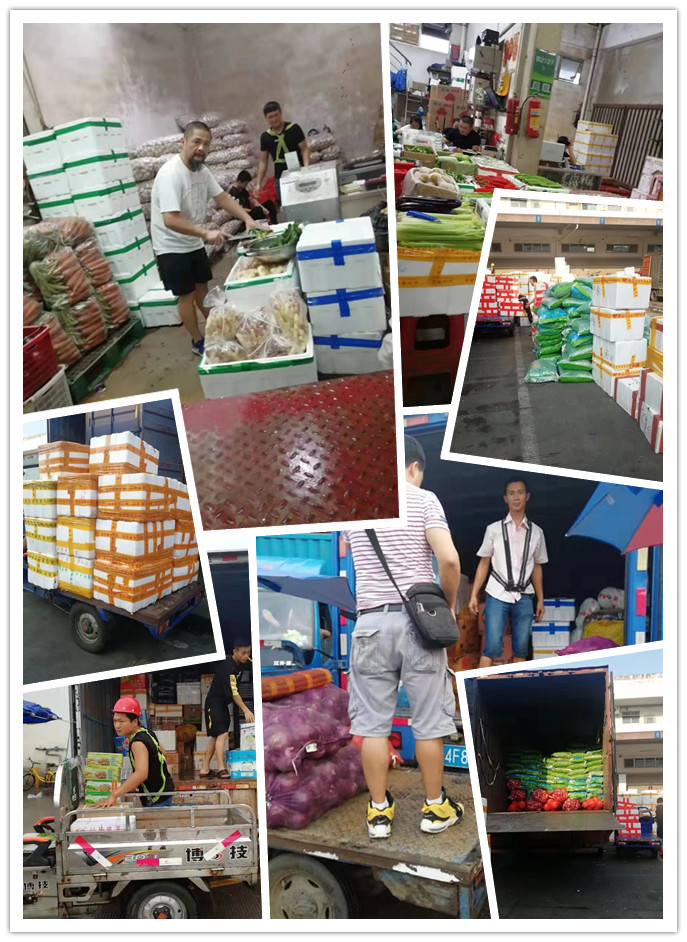 必发7790(中国区)电子集团-线上平台登录入口