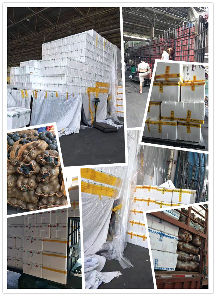 必发7790(中国区)电子集团-线上平台登录入口