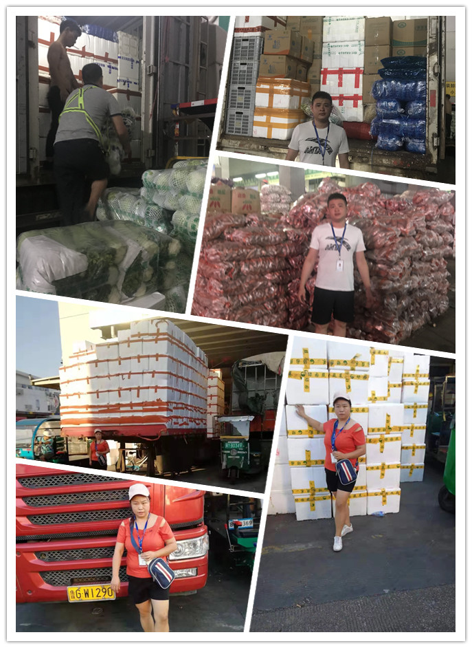 必发7790(中国区)电子集团-线上平台登录入口