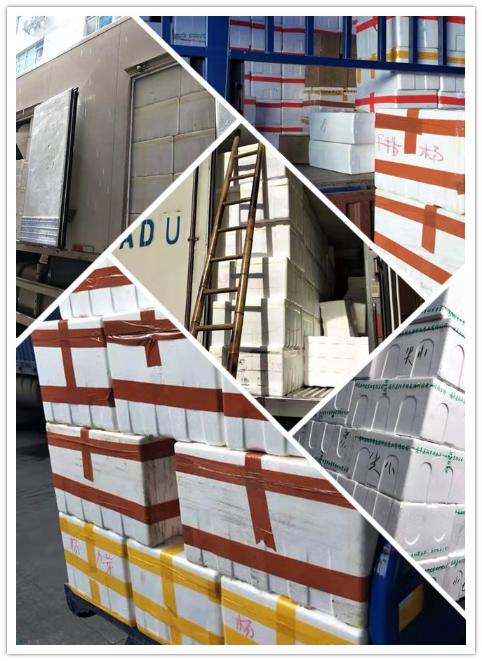 必发7790(中国区)电子集团-线上平台登录入口