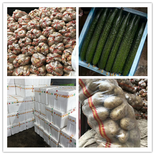 必发7790(中国区)电子集团-线上平台登录入口