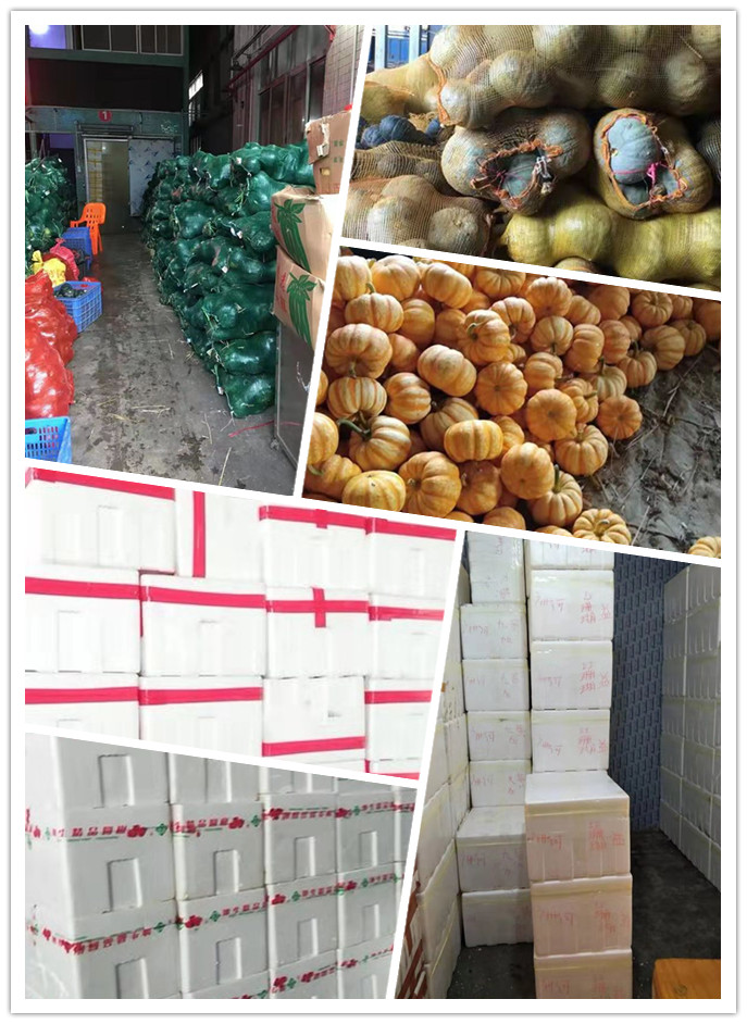 必发7790(中国区)电子集团-线上平台登录入口