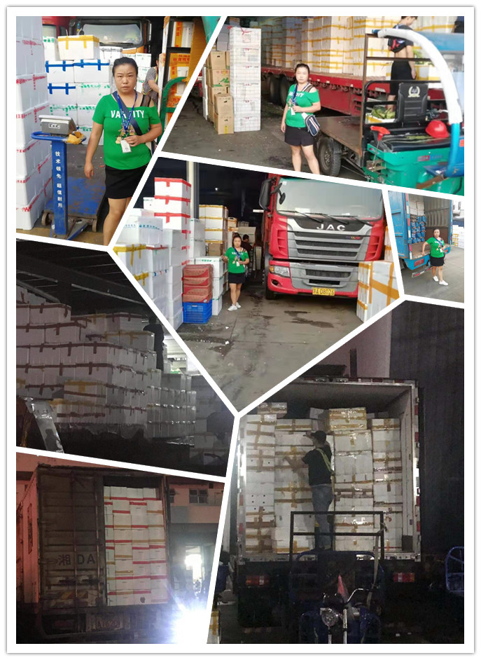 必发7790(中国区)电子集团-线上平台登录入口