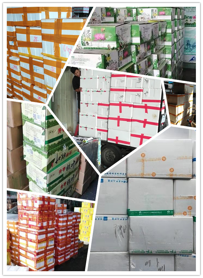 必发7790(中国区)电子集团-线上平台登录入口