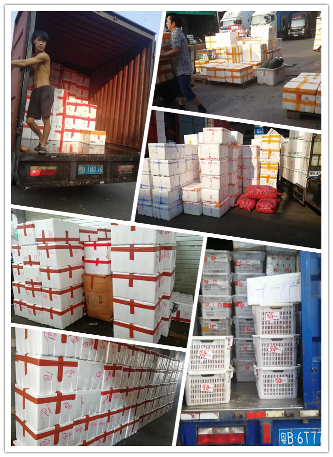 必发7790(中国区)电子集团-线上平台登录入口