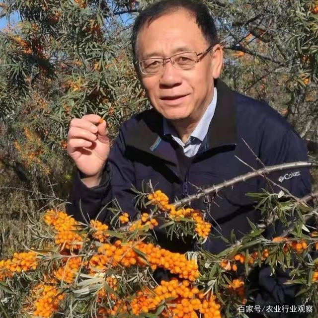 必发7790(中国区)电子集团-线上平台登录入口