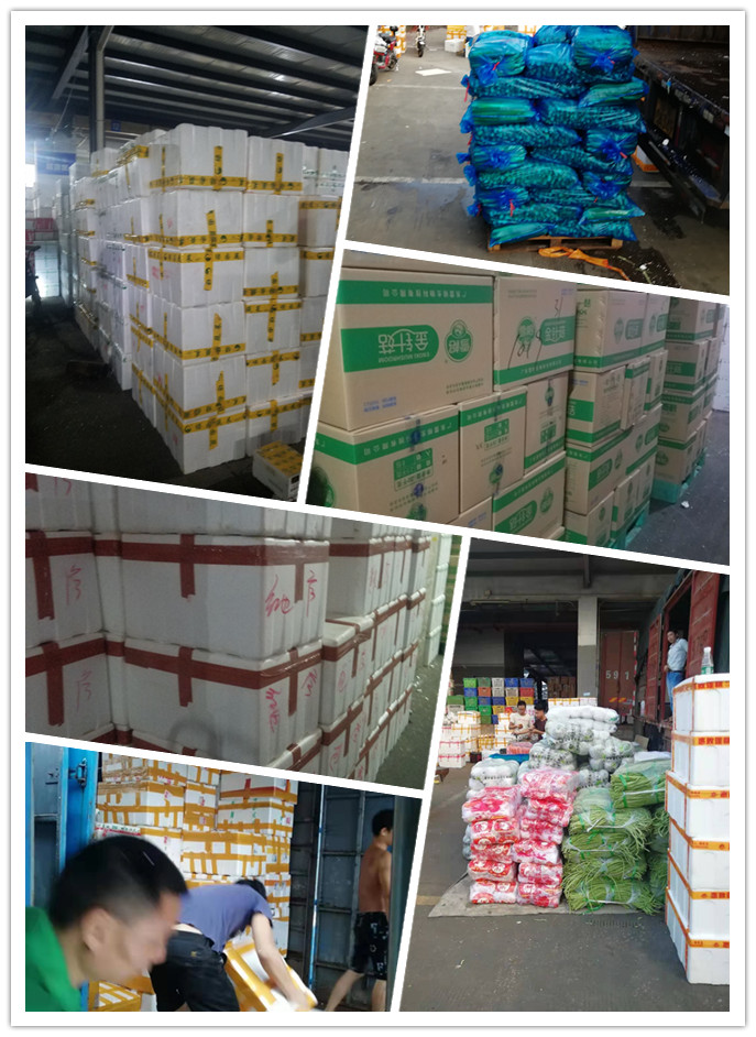 必发7790(中国区)电子集团-线上平台登录入口