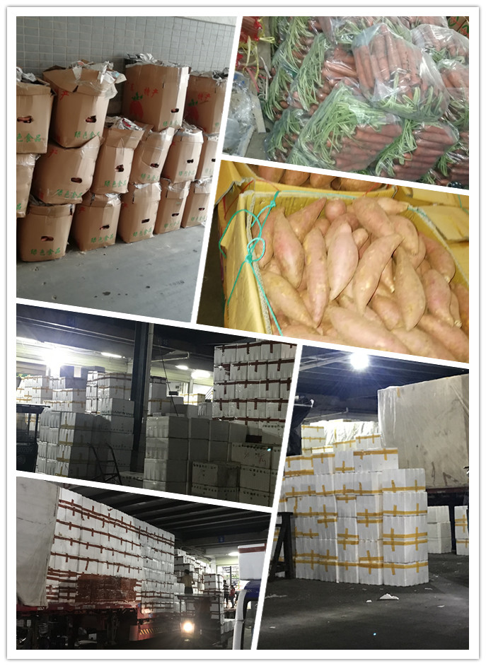 必发7790(中国区)电子集团-线上平台登录入口