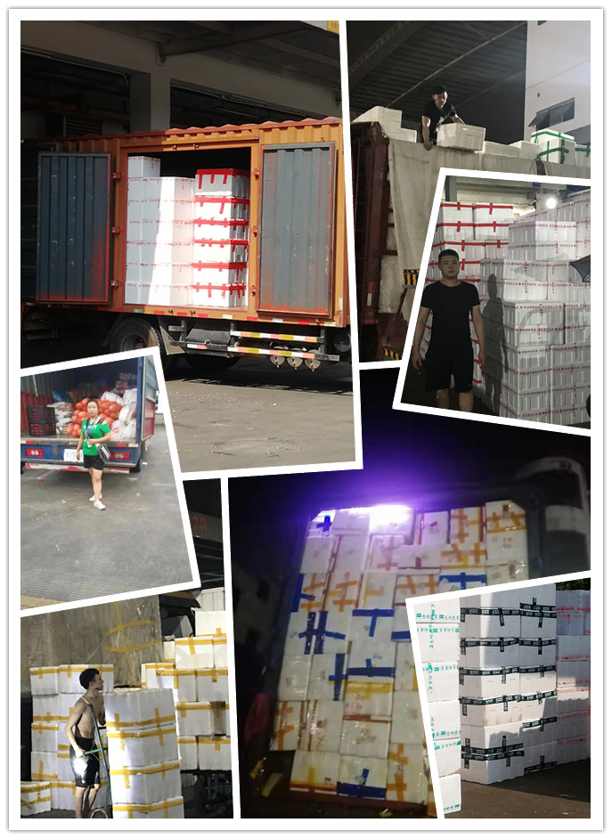 必发7790(中国区)电子集团-线上平台登录入口