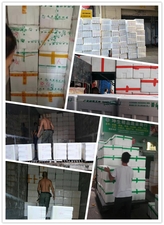 必发7790(中国区)电子集团-线上平台登录入口