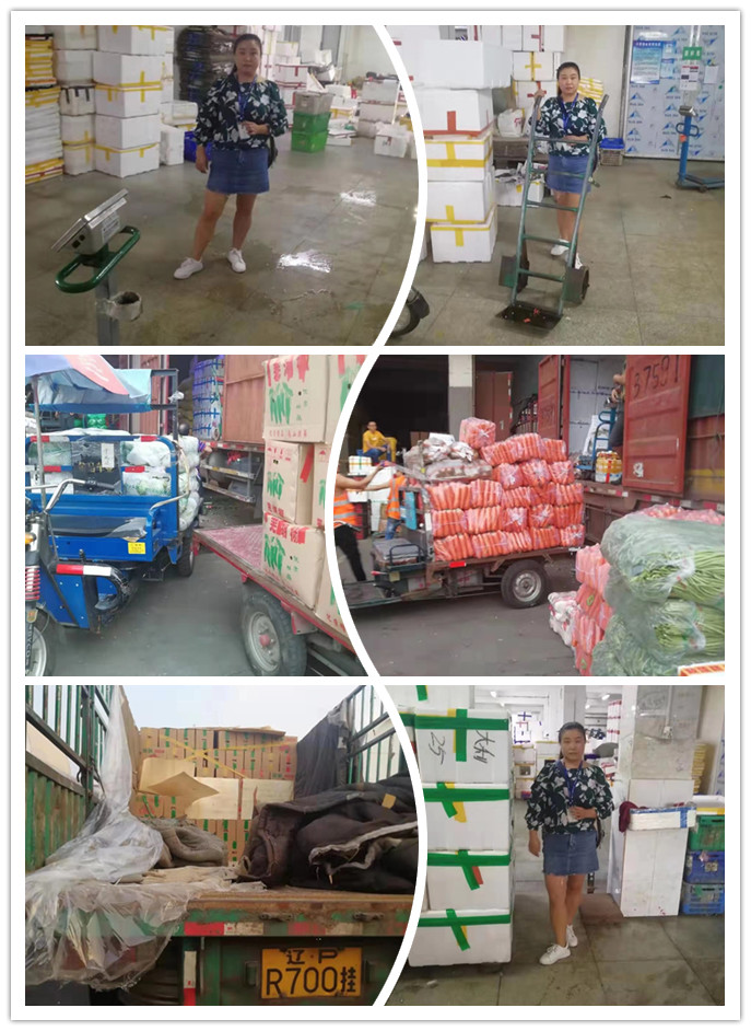 必发7790(中国区)电子集团-线上平台登录入口