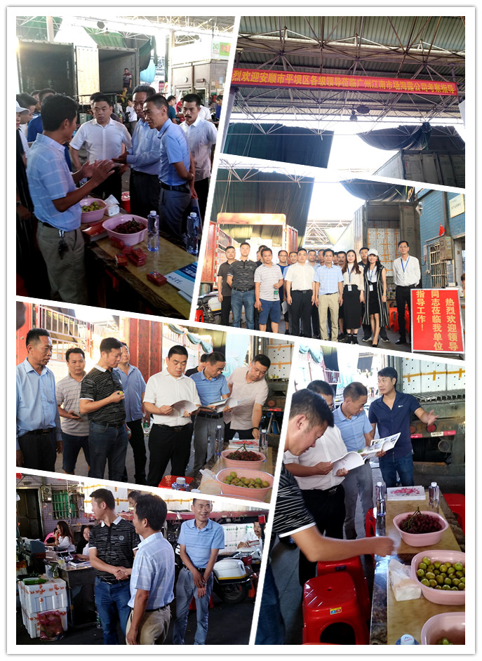 必发7790(中国区)电子集团-线上平台登录入口