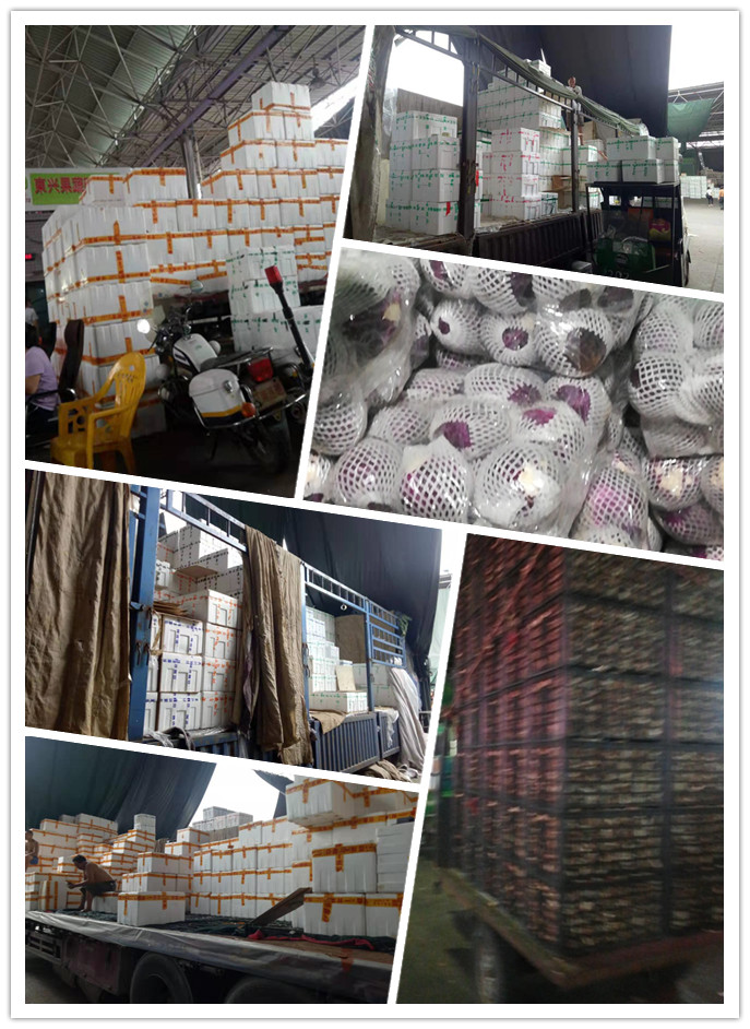 必发7790(中国区)电子集团-线上平台登录入口