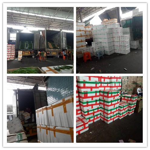 必发7790(中国区)电子集团-线上平台登录入口