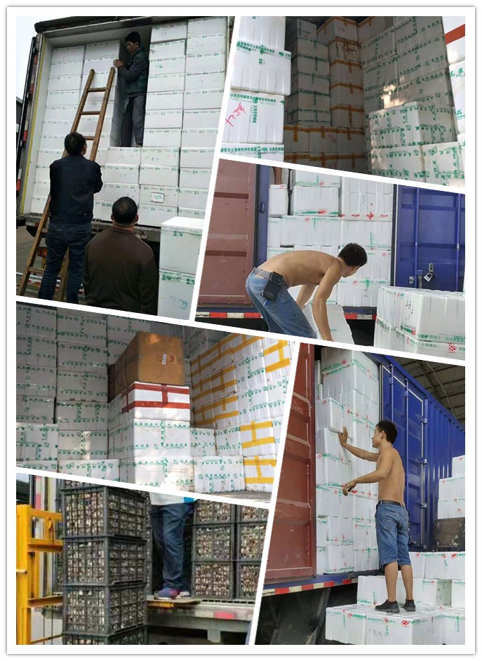 必发7790(中国区)电子集团-线上平台登录入口