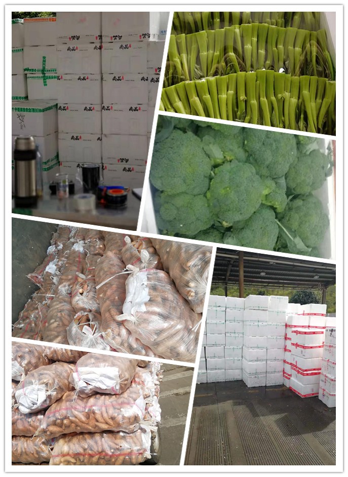 必发7790(中国区)电子集团-线上平台登录入口