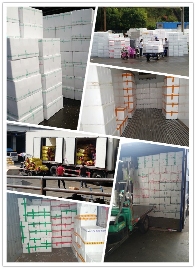 必发7790(中国区)电子集团-线上平台登录入口