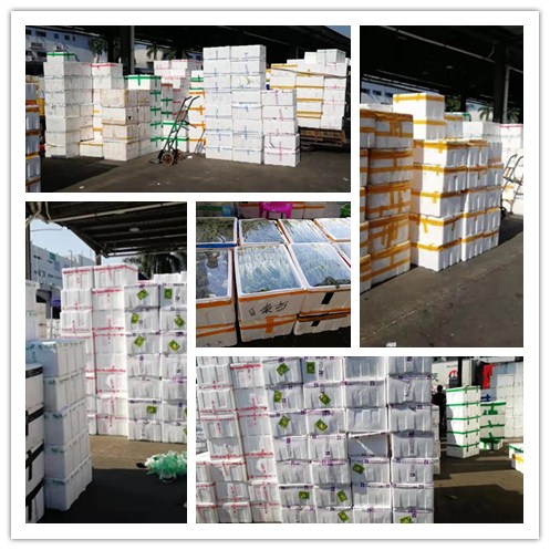 必发7790(中国区)电子集团-线上平台登录入口