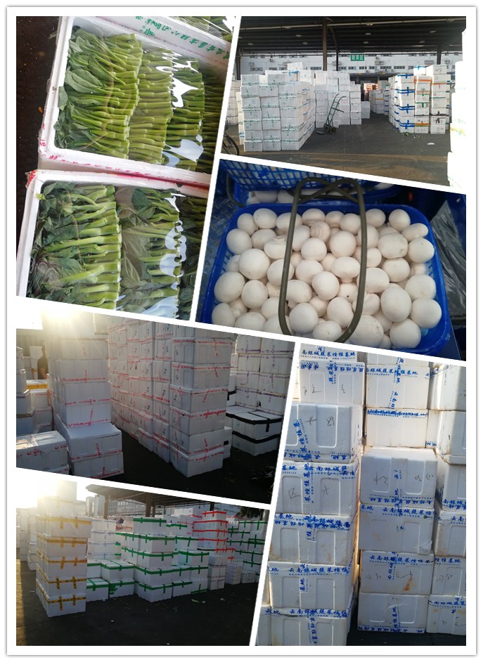 必发7790(中国区)电子集团-线上平台登录入口