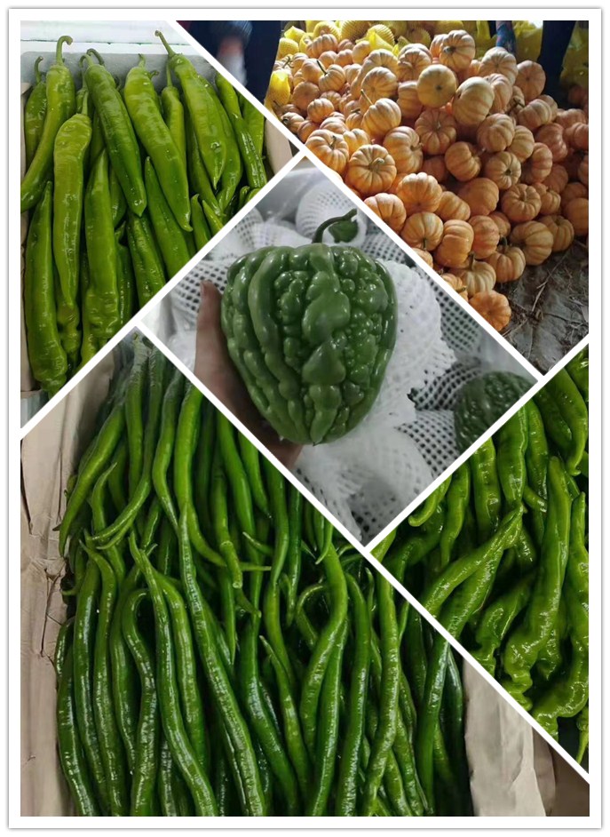 必发7790(中国区)电子集团-线上平台登录入口