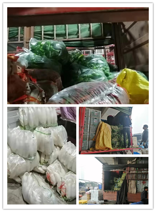 必发7790(中国区)电子集团-线上平台登录入口