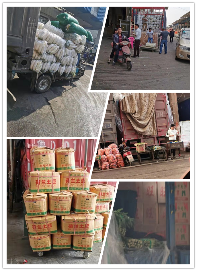 必发7790(中国区)电子集团-线上平台登录入口