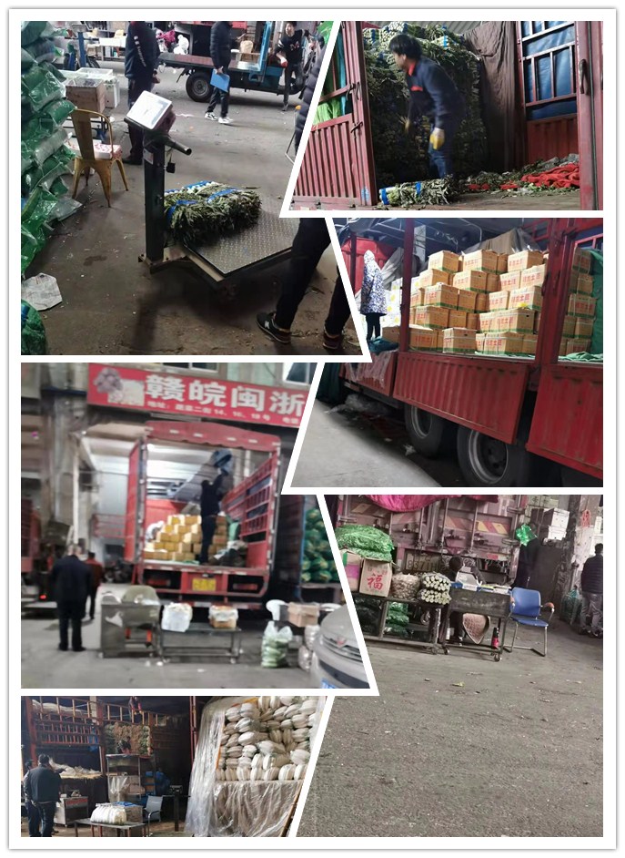 必发7790(中国区)电子集团-线上平台登录入口