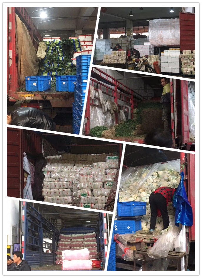 必发7790(中国区)电子集团-线上平台登录入口