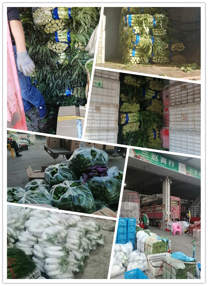 必发7790(中国区)电子集团-线上平台登录入口